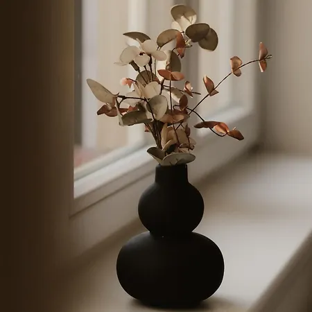 Appartement Park *